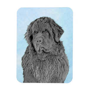 Newfoundland Painting - Cute Original Dog Art Magneet