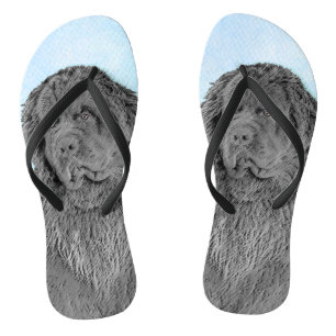 Newfoundland Painting - Cute Original Dog Art Teenslippers