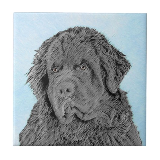 Newfoundland Painting - Cute Original Dog Art Tegeltje (Voorkant)