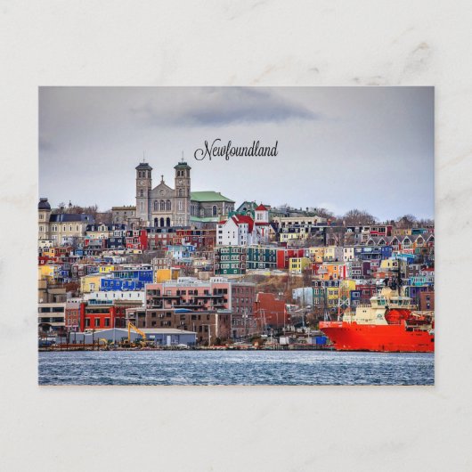 Newfoundland, panoramisch stadsgezicht foto briefkaart (Voorkant)