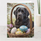 Newfoundland Pasen Eieren Kaart (Voorkant)