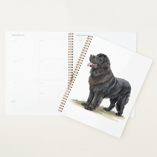 Newfoundland Planner (Display)