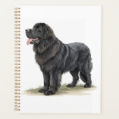 Newfoundland Planner (Voorkant)