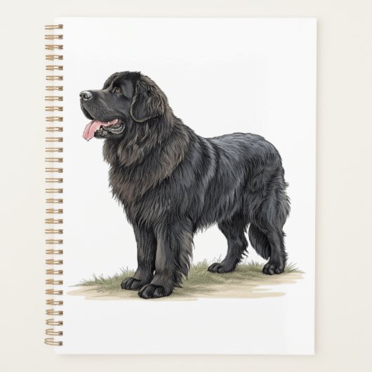 Newfoundland Planner (Voorkant)