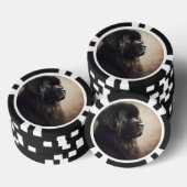 Newfoundland Poker Chips (Opstapeling)