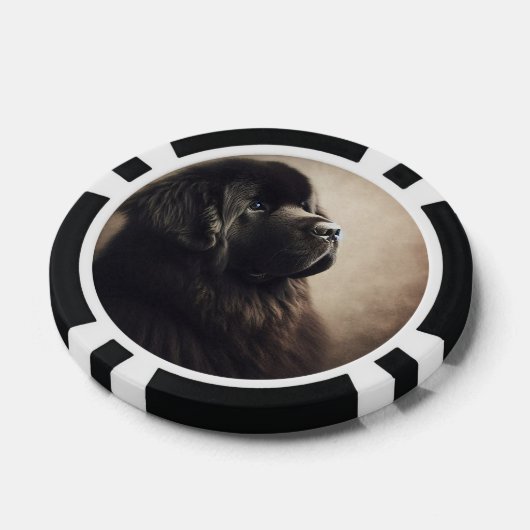 Newfoundland Poker Chips (Enkel)