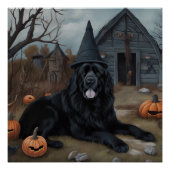 Newfoundland pompoenen Halloween Scary Perfect Poster (Voorkant)