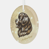Newfoundland Profiel Glas Kerst Ornament (Voorkant links)