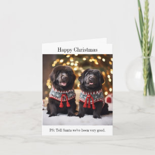 Newfoundland Puppies Christmas Jumpers Kaart