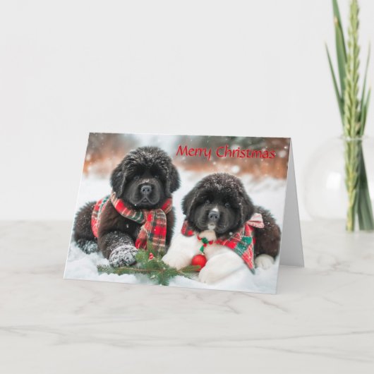 Newfoundland Puppies in Sneeuwkerst Kaart (Voorkant)