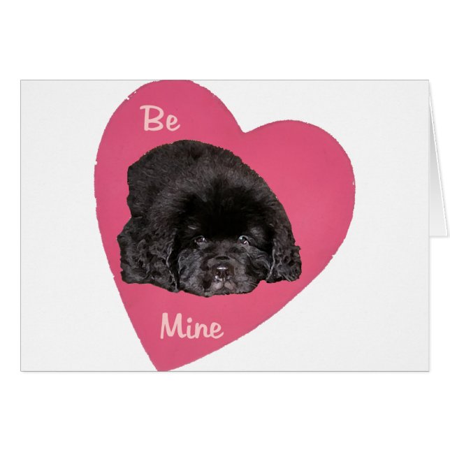 Newfoundland Puppy Dog Love Heart (Voorkant Horizontaal)