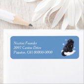 Newfoundland Puppy Etiket (Insitu)