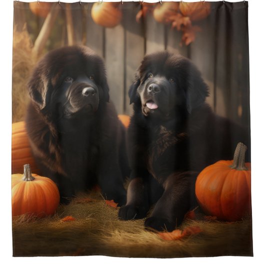 Newfoundland Puppy Herfst Delight Pompoen Douchegordijn (Voorkant)
