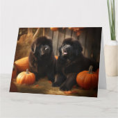 Newfoundland Puppy Herfst Delight Pompoen Kaart (Voorkant)