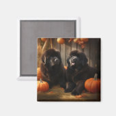 Newfoundland Puppy Herfst Delight Pompoen Magneet (Voorkant / Achterkant)