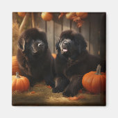 Newfoundland Puppy Herfst Delight Pompoen Magneet (Voorkant)