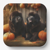 Newfoundland Puppy Herfst Delight Pompoen Papieren Bordje (Voorkant)