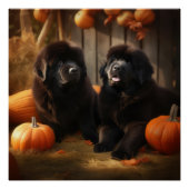Newfoundland Puppy Herfst Delight Pompoen Perfect Poster (Voorkant)