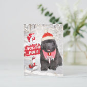 Newfoundland Puppy houdt van kerstkaarten Feestdagenkaart (Staand voorkant)
