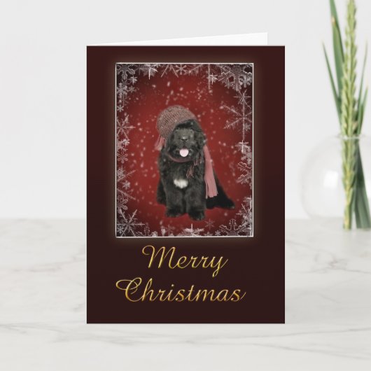 Newfoundland puppy kerstkaart feestdagen kaart (Voorkant)
