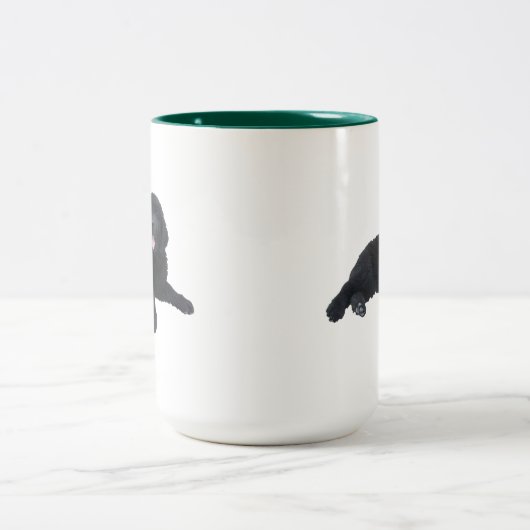 Newfoundland Puppy Mok (Center)