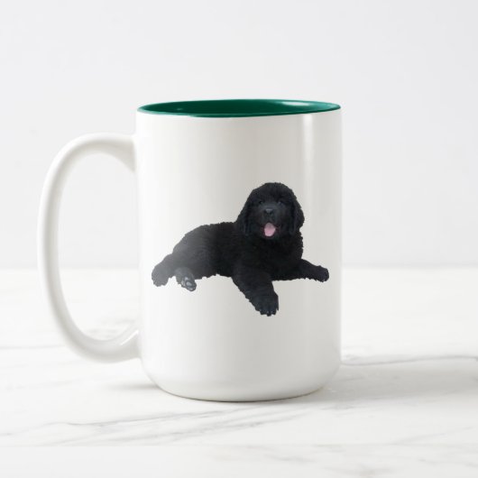 Newfoundland Puppy Mok (Links)