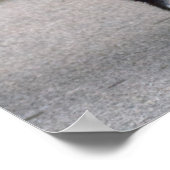 Newfoundland Puppy Poster (Hoek)