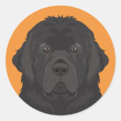 Newfoundland Ronde Sticker (Voorkant)