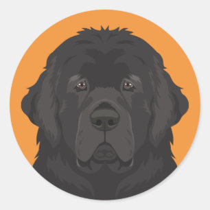 Newfoundland Ronde Sticker