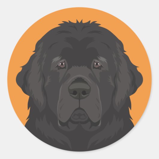 Newfoundland Ronde Sticker (Voorkant)