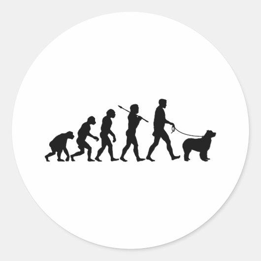 Newfoundland Ronde Sticker (Voorkant)
