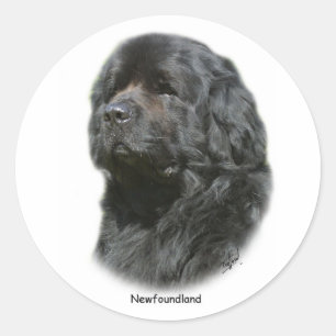 Newfoundland Ronde Sticker