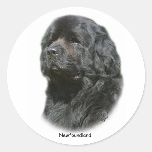 Newfoundland Ronde Sticker (Voorkant)