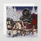 Newfoundland Santa Sleigh Feestdagenkaart (Voorkant / Achterkant)