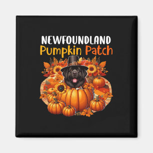 Newfoundland Schattigee Patch Thanksgiving Pompoen Magneet
