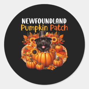 Newfoundland Schattigee Patch Thanksgiving Pompoen Ronde Sticker