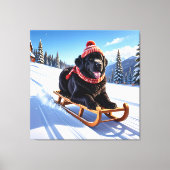 Newfoundland Sled Ride Canvas Afdruk (Voorkant)