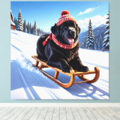 Newfoundland Sled Ride Canvas Afdruk (Insitu (Houten vloer))