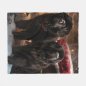 Newfoundland Sneeuw Slede Kerst Decoratie Fleece Deken (Voorkant (Horizontaal))