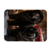 Newfoundland Snowy Sleigh Kerst Decor Magneet (Horizontaal)
