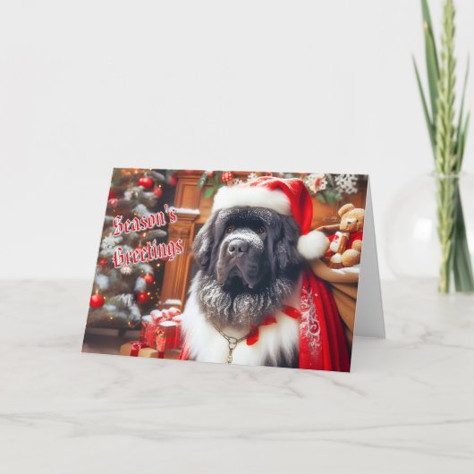 Newfoundland St Nicholas Christmas Kaart (Voorkant)