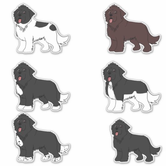 Newfoundland stickerpakket sticker (Voorkant)
