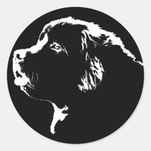 Newfoundland Stickers Newfoundland Stickers