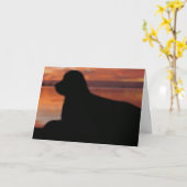 Newfoundland Sunset Sympathy Card Kaart (Gele Bloem)