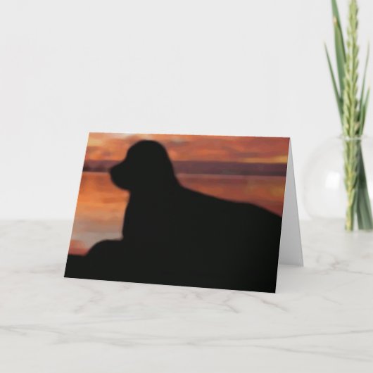 Newfoundland Sunset Sympathy Card Kaart (Voorkant)
