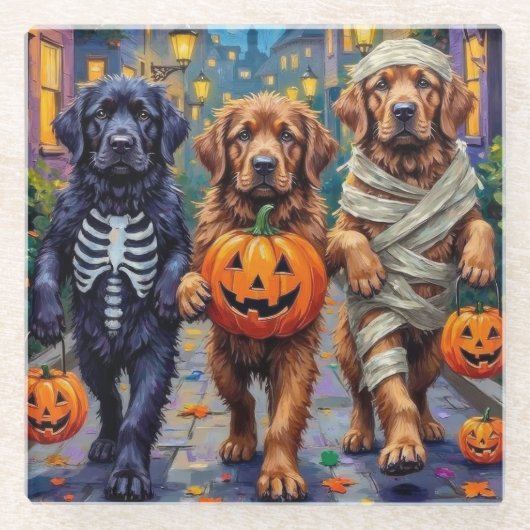 Newfoundland Trick-or-Treating Halloween kostuums Glazen Onderzetter (Voorkant)