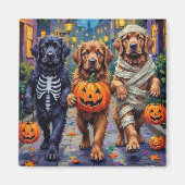 Newfoundland Trick-or-Treating Halloween kostuums Magneet (Voorkant)