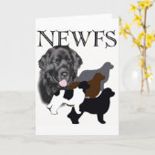 Newfoundland, vier kleuren kaart (Gele Bloem)