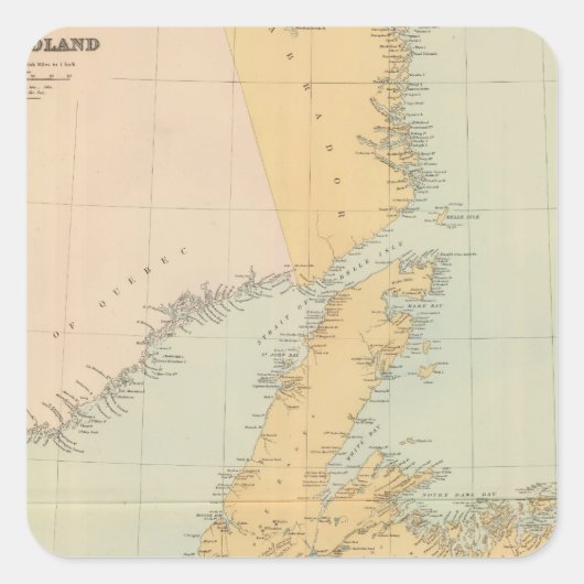 Newfoundland Vierkante Sticker (Voorkant)