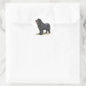 Newfoundland Vierkante Sticker (Tas)